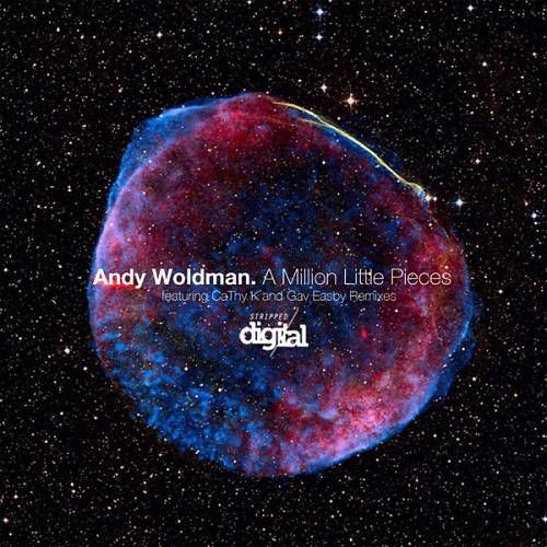Andy Woldman - A Million Little Pieces [319SD]